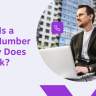 what is a voip number and how does it work?