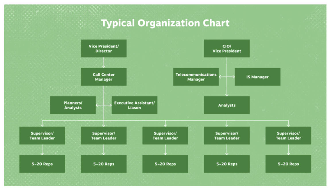 What a typical organizational chart looks like