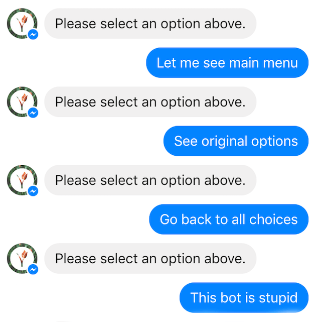 Customer Service Tips: Screenshot of a chatbot interaction