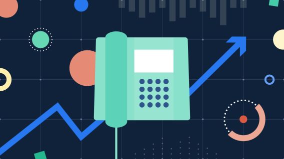 30+ VoIP statistics