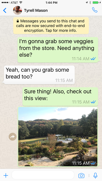Screenshot of a WhatsApp conversation on a mobile