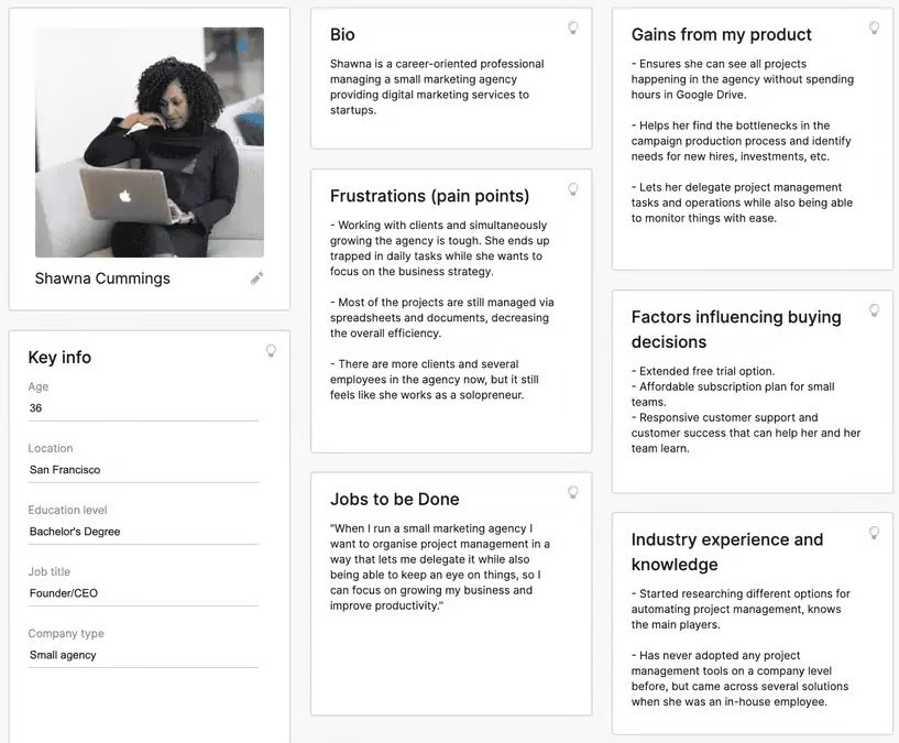 Customer persona example