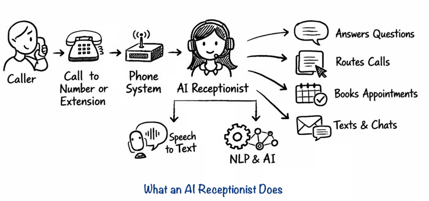 Graphic showing what an AI receptionist does (routes calls, books appointments, responds to text & chats, etc.)