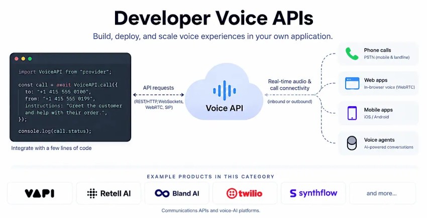 Developer voice APIs visual explanation and example products
